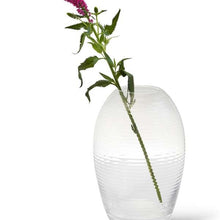 Lade das Bild in den Galerie-Viewer, Laine, Ovale Vase, klar, H20