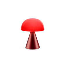 Lade das Bild in den Galerie-Viewer, Mina L LED Lampe