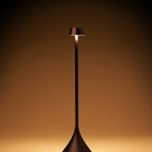 Lade das Bild in den Galerie-Viewer, LED Tischlampe