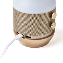 Lade das Bild in den Galerie-Viewer, LED Lampe mit eingebauten Sound