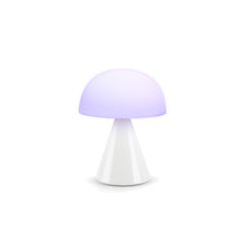 Lade das Bild in den Galerie-Viewer, Mina L LED Lampe