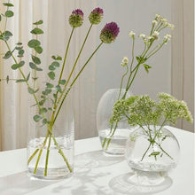 Lade das Bild in den Galerie-Viewer, Laine, Zylindrische Vase, klar, H 25