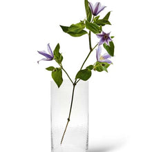 Lade das Bild in den Galerie-Viewer, Laine, Zylindrische Vase, klar, H 25