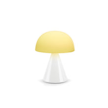 Lade das Bild in den Galerie-Viewer, Mina L LED Lampe