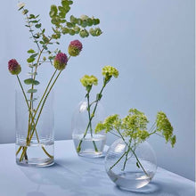 Lade das Bild in den Galerie-Viewer, Laine, Kugelförmige Vase, klar, H 13,5