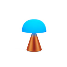 Lade das Bild in den Galerie-Viewer, Mina L LED Lampe