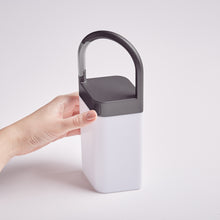 Lade das Bild in den Galerie-Viewer, Horizon Hängelampe