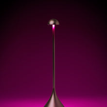 Lade das Bild in den Galerie-Viewer, LED Tischlampe
