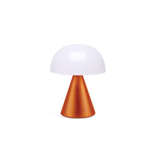 Lade das Bild in den Galerie-Viewer, Mina L LED Lampe
