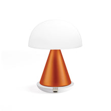 Lade das Bild in den Galerie-Viewer, Mina L LED Lampe
