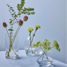 Lade das Bild in den Galerie-Viewer, Laine, Ovale Vase, klar, H20
