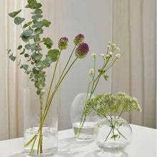 Lade das Bild in den Galerie-Viewer, Laine, Ovale Vase, klar, H20
