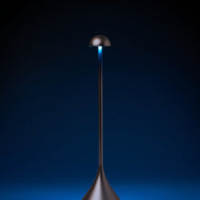 Lade das Bild in den Galerie-Viewer, LED Tischlampe
