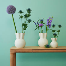 Lade das Bild in den Galerie-Viewer, Vase, geschwungene Oberseite
