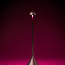 Lade das Bild in den Galerie-Viewer, LED Tischlampe
