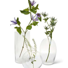 Lade das Bild in den Galerie-Viewer, Laine, Ovale Vase, klar, H20
